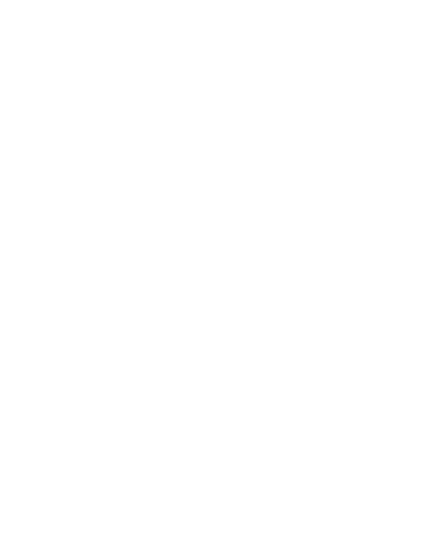Totem.png